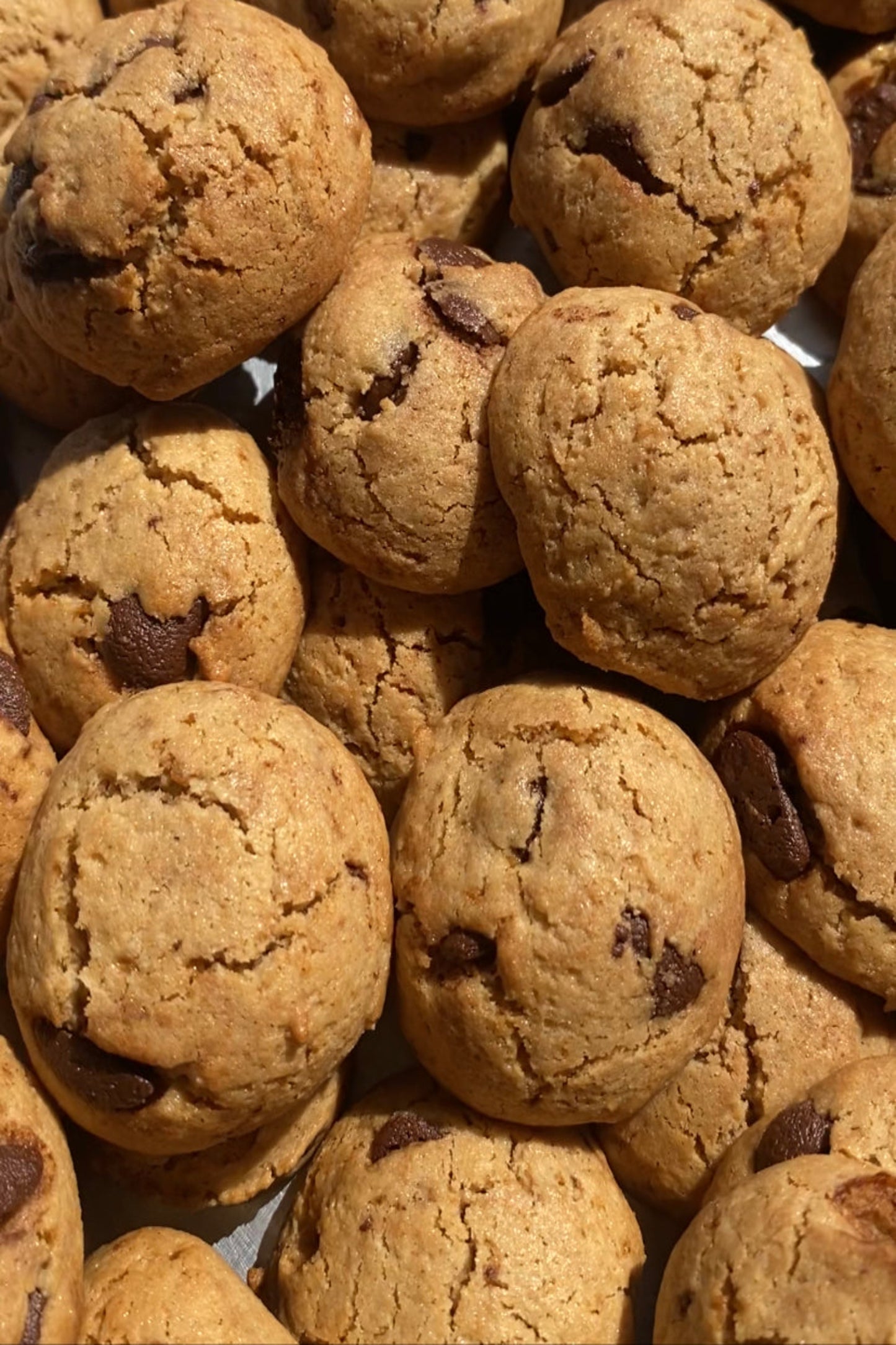 Chocolate  chips cookies with Brown rice flour (جلوتن فرى)كوكيز الارز البني وحبوب الشيكولاتة